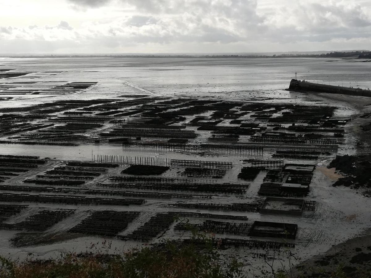 Chambres d'Hôtes Les Fleurettes en Baie Du Mont Saint Michel Extérieur photo